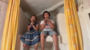 Два веселых гуся