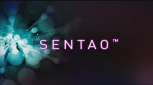 В ТОНУСЕ | Силовые упражнения программы ZUMBA SENTAO