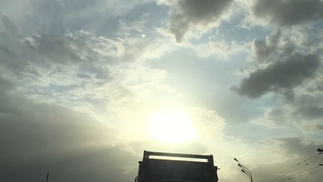 Красивый полет птицы смотреть онлайн