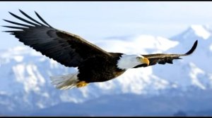 Я знаю,Бог не ошибается | христианская песня