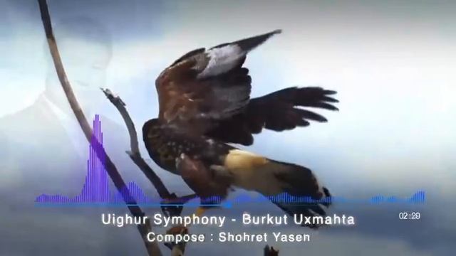 Шухрат Ясин (Shohret Yasen) - Burkut Ushmakhta. смотреть онлайн