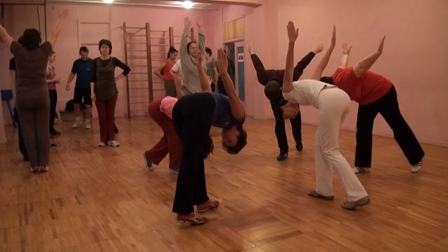 A Bothmer Seminar In Moscow/Семинар по ботмеру в Москве. 2010-11-04a