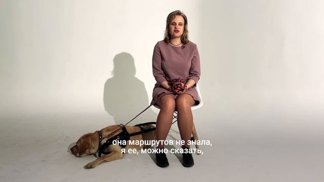 Собака-поводырь - это собачья "элита" смотреть онлайн