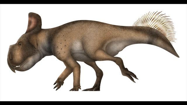 Protoceratops смотреть онлайн