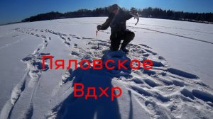 Пяловское Водохранилище. Опять Ловил Леща, а Поймал Судака