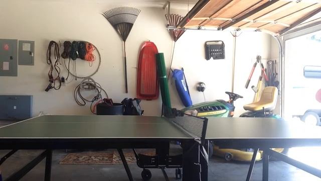 Table Tennis with Ty!! смотреть онлайн