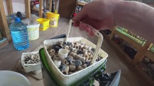 Будни Аквариумиста. Хорошо поработал в понедельник. Пошла личинка Гурами. Собрал новую партию Гуппи