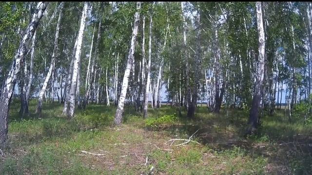 БЕРЁЗОВЫЙ ЛЕС ОМСКАЯ ОБЛ смотреть онлайн