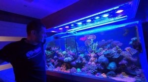 PAR  в Piratereef ☠️