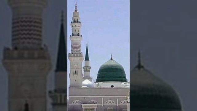 Arman Madina #Shorts смотреть онлайн