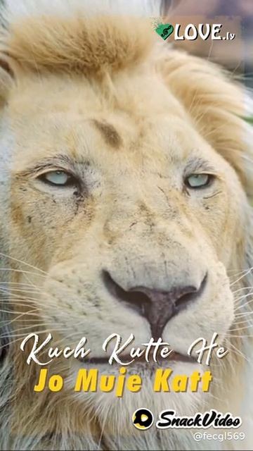 2020 To 5050 Nike 👍 смотреть онлайн