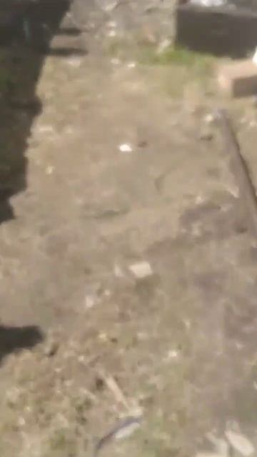 #медь #алюминий #поискметалла #цветнойметалл #медяха #металокоп #поискмеди смотреть онлайн