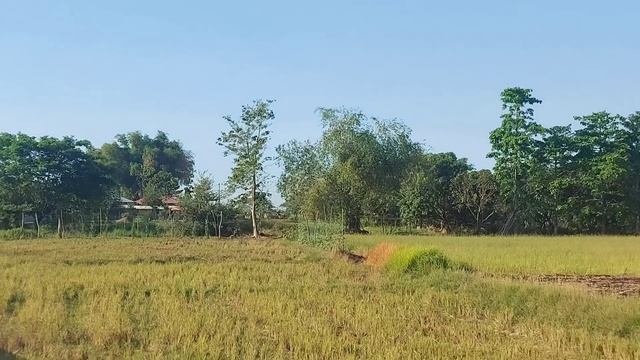 Bayani | Kwentong TeleDrama