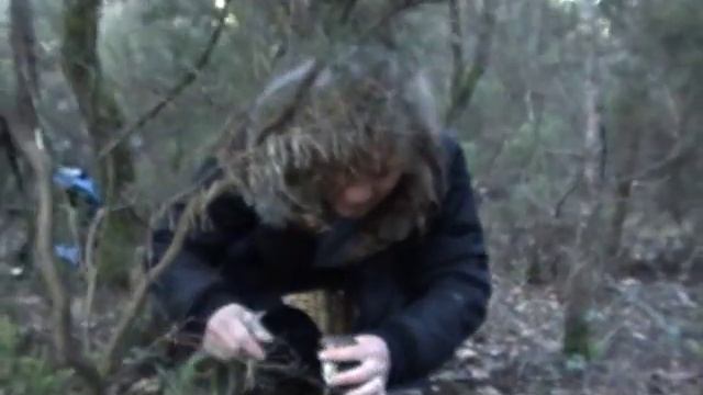 La búsqueda cesar plus смотреть онлайн