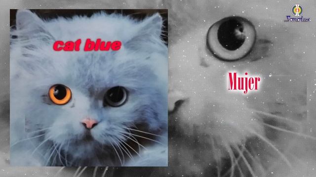 Mujer - Cat Blue - Remasterizado | Salsa