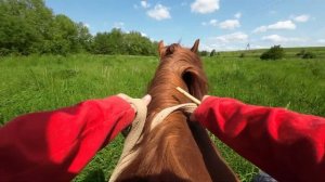 Верхом на лошади и прогулка по высокой траве от первого лица || DJI Action 2