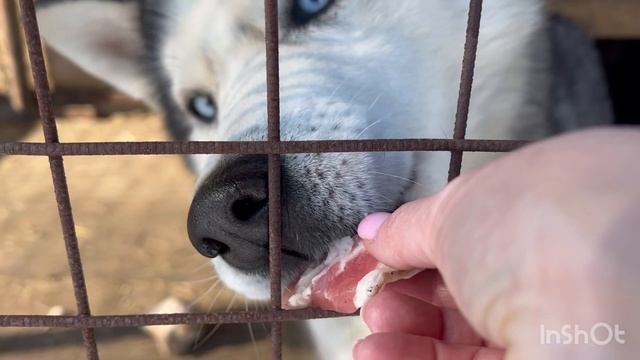 Солянка мясная в казане
