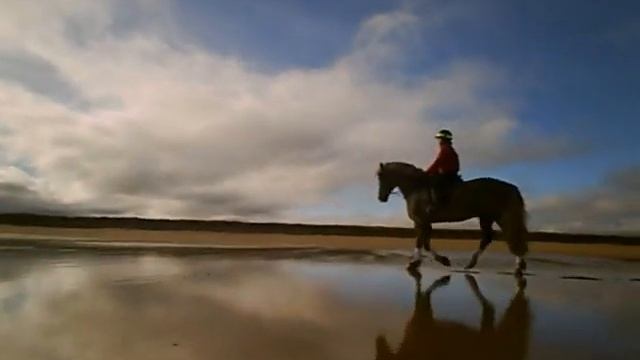 Salsa Mukluk, Surly Pugsley & Horse Beach Ride, John Muir Park, Feb 2012