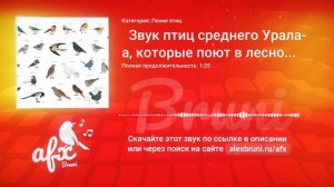 Звук:   Звук птиц среднего Урала, которые поют в лесной чаще (сборник разных птиц)
