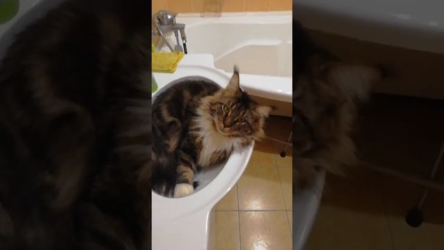 кайфуем) смотреть онлайн