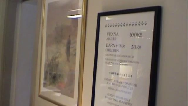 Carl Larsson visit -09 смотреть онлайн