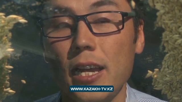 Паркинсон ауруы. Қазақстандық биофизиктер ұсынған жаңа емдеу әдісі смотреть онлайн