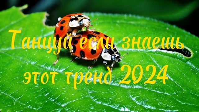 💛💗 ТАНЦУЙ ЕСЛИ ЗНАЕШЬ ЭТОТ ТРЕНД 2024 💗💛 смотреть онлайн
