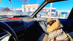 ЕВПАТОРИЯ СЕГОДНЯ, 2025, на АВТО