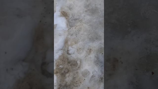 просто жизнь кайф