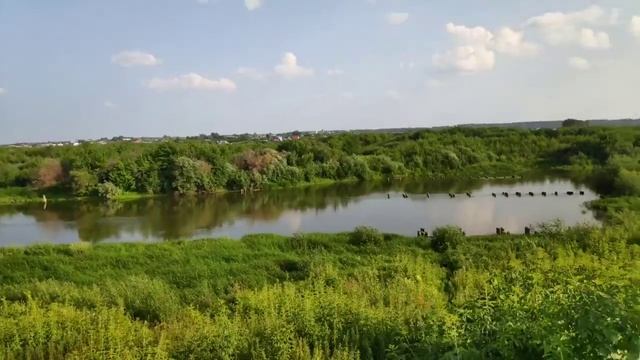 Шадринский блоК смотреть онлайн