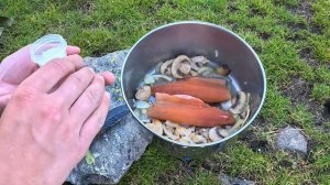 Antonio  WILD Mountain Trout Fishing & SOLO Camping!!! (Catch & Cook)