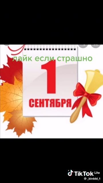 1000001033.mp4 смотреть онлайн