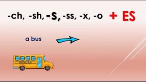 Множественное число существительных в английском .