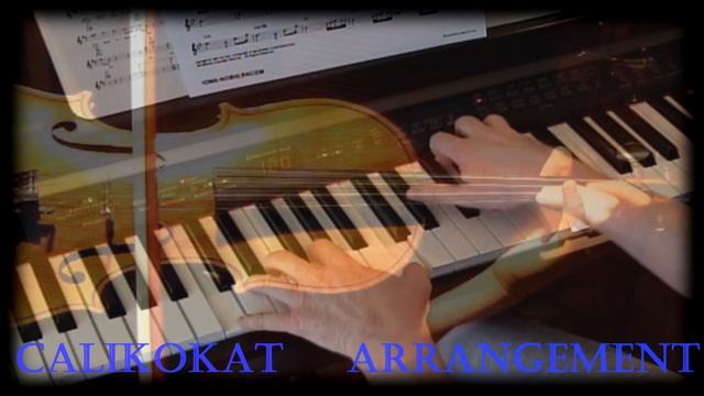 Adagio In G Minor -  Albinoni - Piano