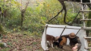 Как сделать Кустарное укрытие для выживания на дереве