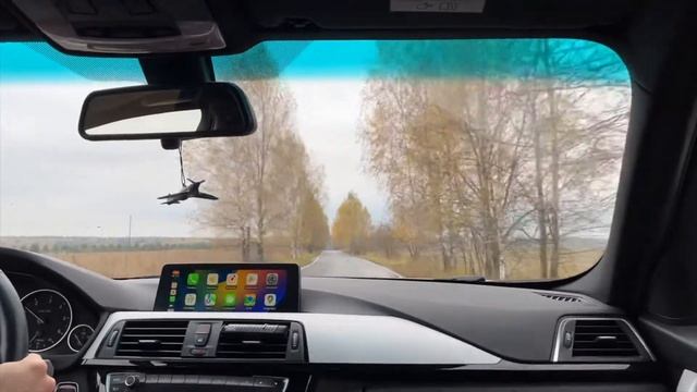 Дорога через осенний лес смотреть онлайн