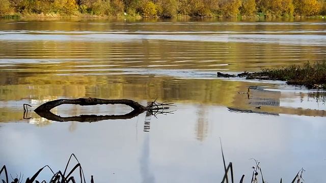 Художник Волна смотреть онлайн