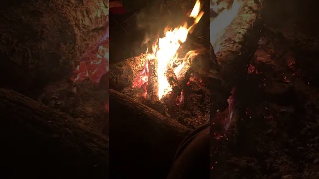 Лес, костёр, гитара и друзья.... Артем и Алина смотреть онлайн