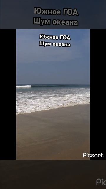 Южный ГОА ради океана и вкусной еды #shortvideo #shorts #short #india #goa #youtubeshorts #reels смотреть онлайн