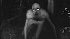 Топ 10 страшных существ снятых на камеру дома