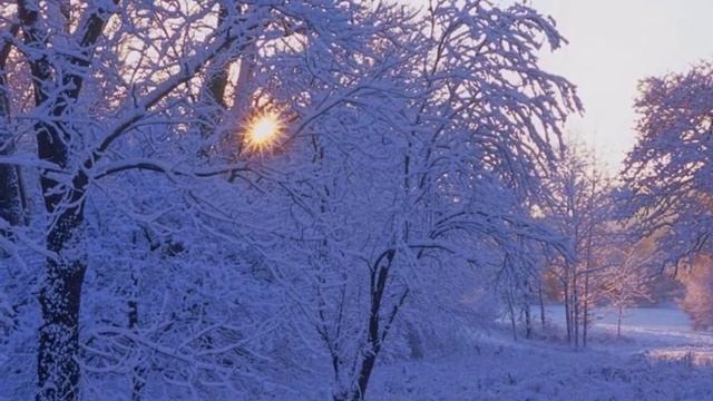 Эх вы, сани! А кони, кони! смотреть онлайн