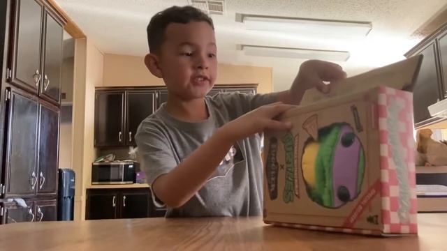 Opening Limited Addition Tmnt X Fuggler Toy Donatello