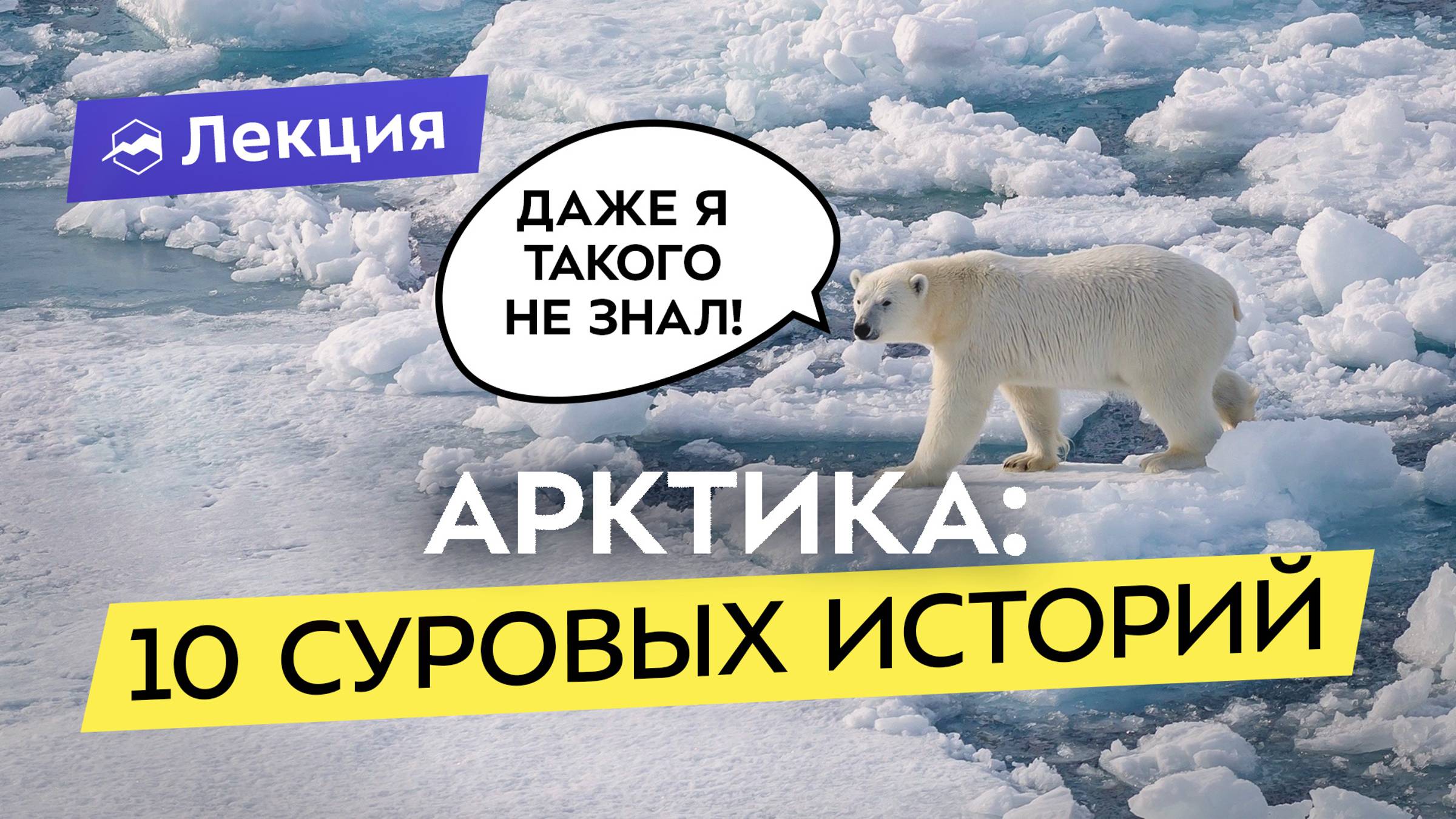 Арктика глазами туристов, учёных и бегуна. Невероятные истории и популярные маршруты севера смотреть онлайн