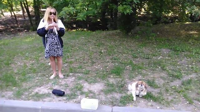 Street music Louis Armstrong jazz смотреть онлайн