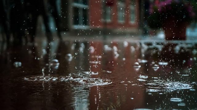 ☔️Sounds of rain☔️| Rain noise| Rain noise for sleeping ☔️Звуки дождя☔️|Шум дождя|Шум дождя для сна смотреть онлайн