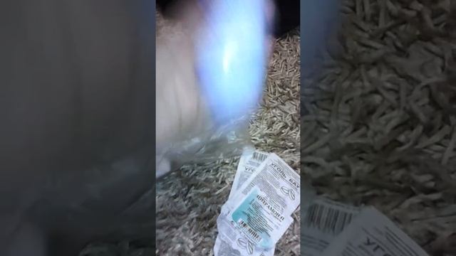 Часть пятая : что я беру в лагерь из аптечки!!!! В смотреть онлайн