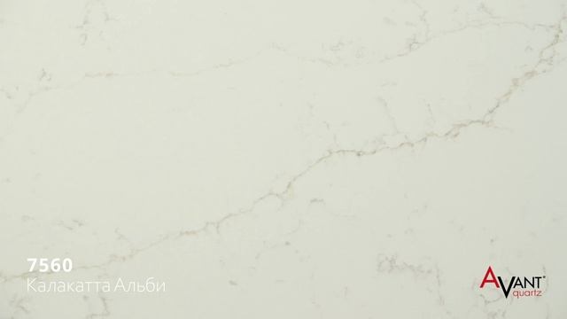 Avant Quartz 7560 Калакатта Альби