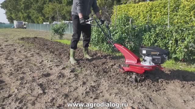 Бензиновый культиватор Eurosystems Z 2 RM смотреть онлайн
