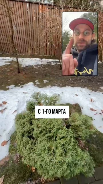 С 1 МАРТА 2025 ГОДА РЕГИСТРАЦИЯ ДОМА ОБЯЗАТЕЛЬНОЙ СТАНЕТ смотреть онлайн