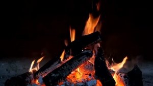 КОСТЕР (1 час)